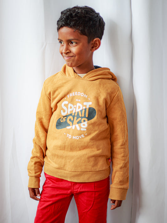 Pull Okaïdi 8 ans